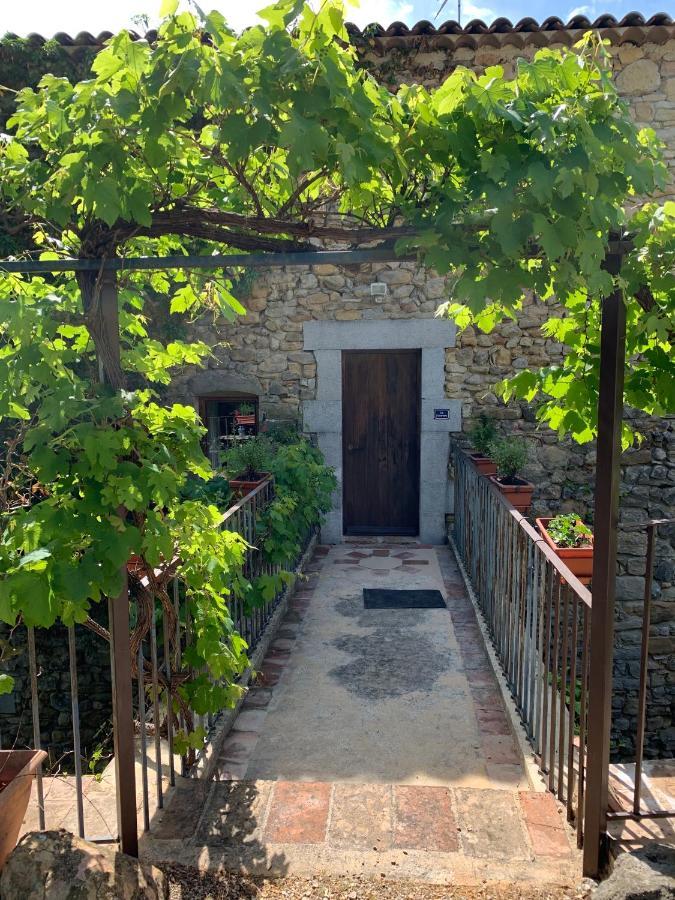 Le Fleuriste * Saint-Sauveur-de-Cruzieres
